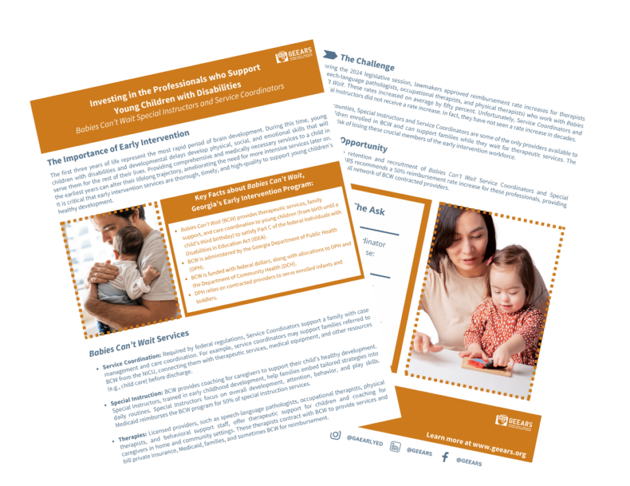 Investing in the Professionals who Support Young Children with Disabilities